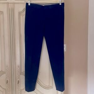 Stylish Blue Trousers